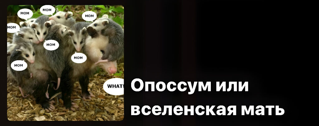 Опоссум как метафора чрезмерной заботы и психологических ролей